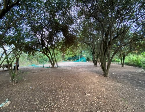 Land for sale in Chbar Ampov