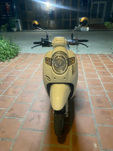 Scoopy 020