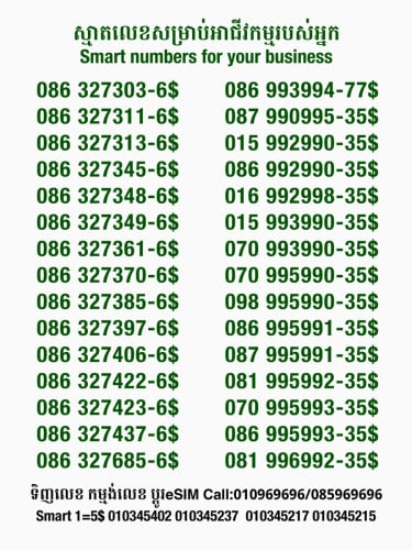 Smart លេខសម្រាប់អាជីវកម្ម