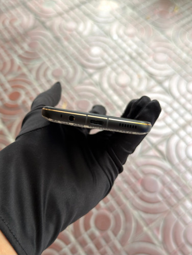 Vertu Life Himalayan Lizard