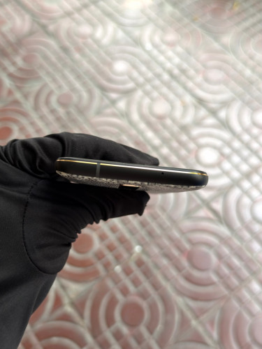 Vertu Life Himalayan Lizard