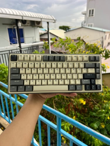 Royal Kludge RK 75 Pro Mechanical Gaming Keyboard