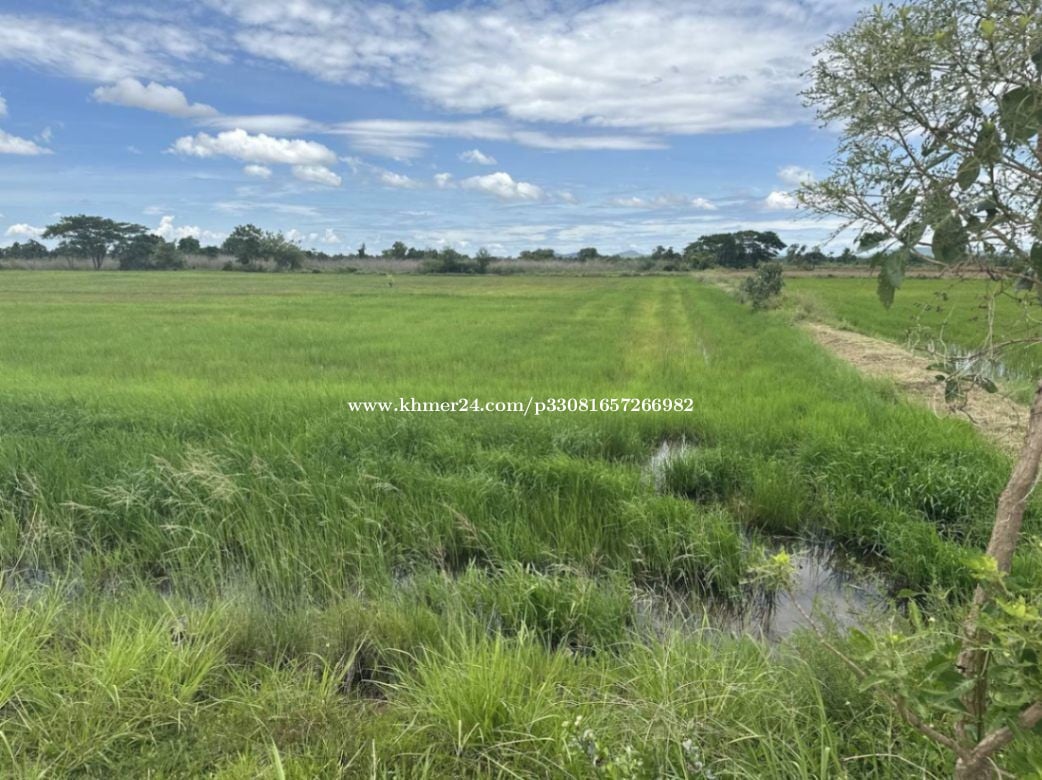 🏦Land Available for Urgent Sale at a Special Price (Negotiable).