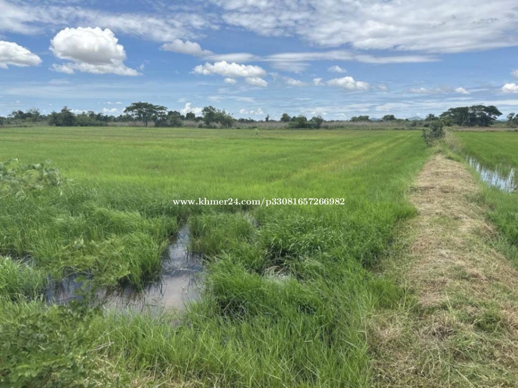🏦Land Available for Urgent Sale at a Special Price (Negotiable).