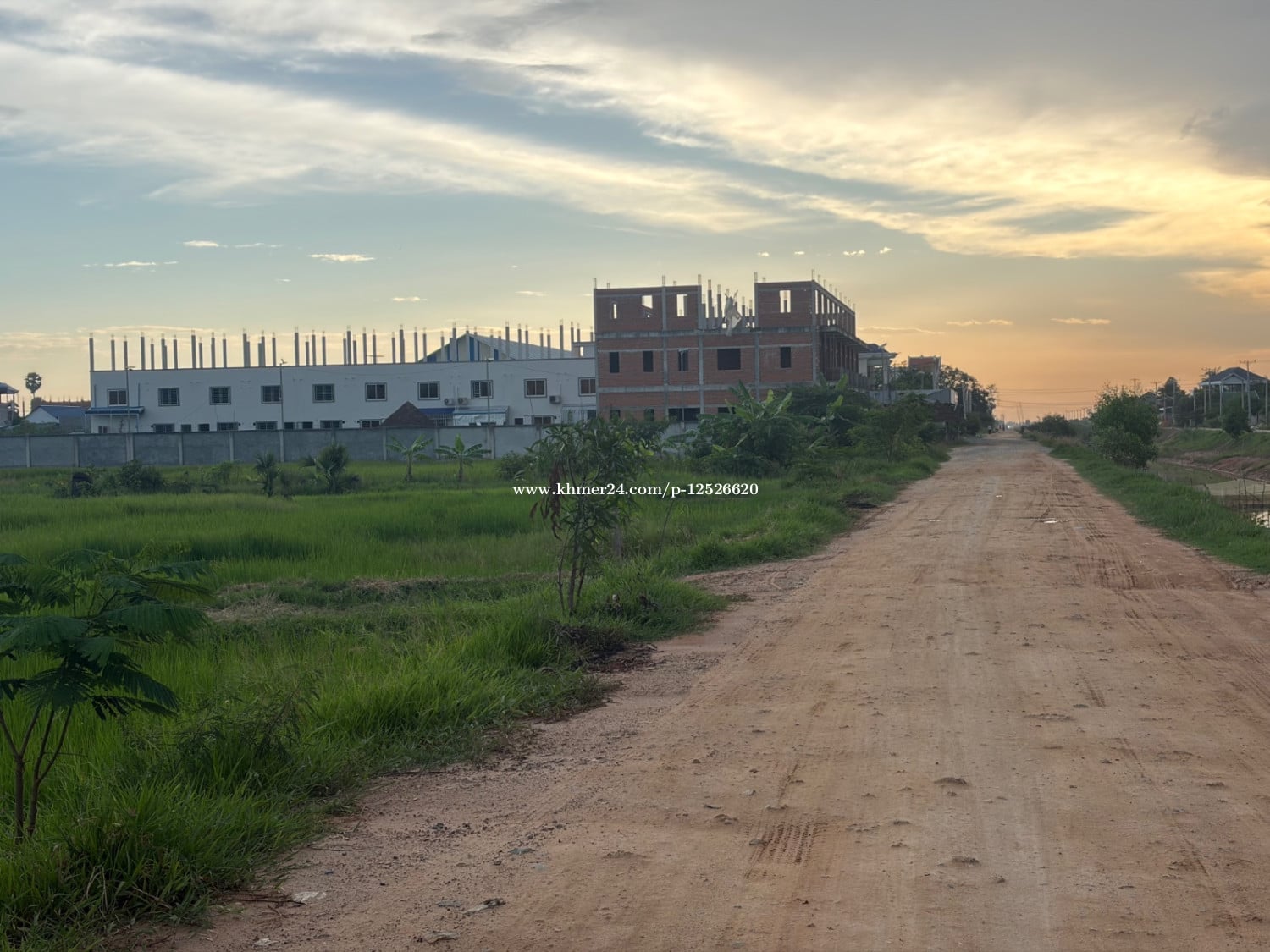 ដីខ្ញុំម្ចាស់ផ្ទាល់ ចរចារស្រួល ងាយងាយ ផ្លូវ ប្រឡាយ 60ឞ កែងផ្លូវ8ម
