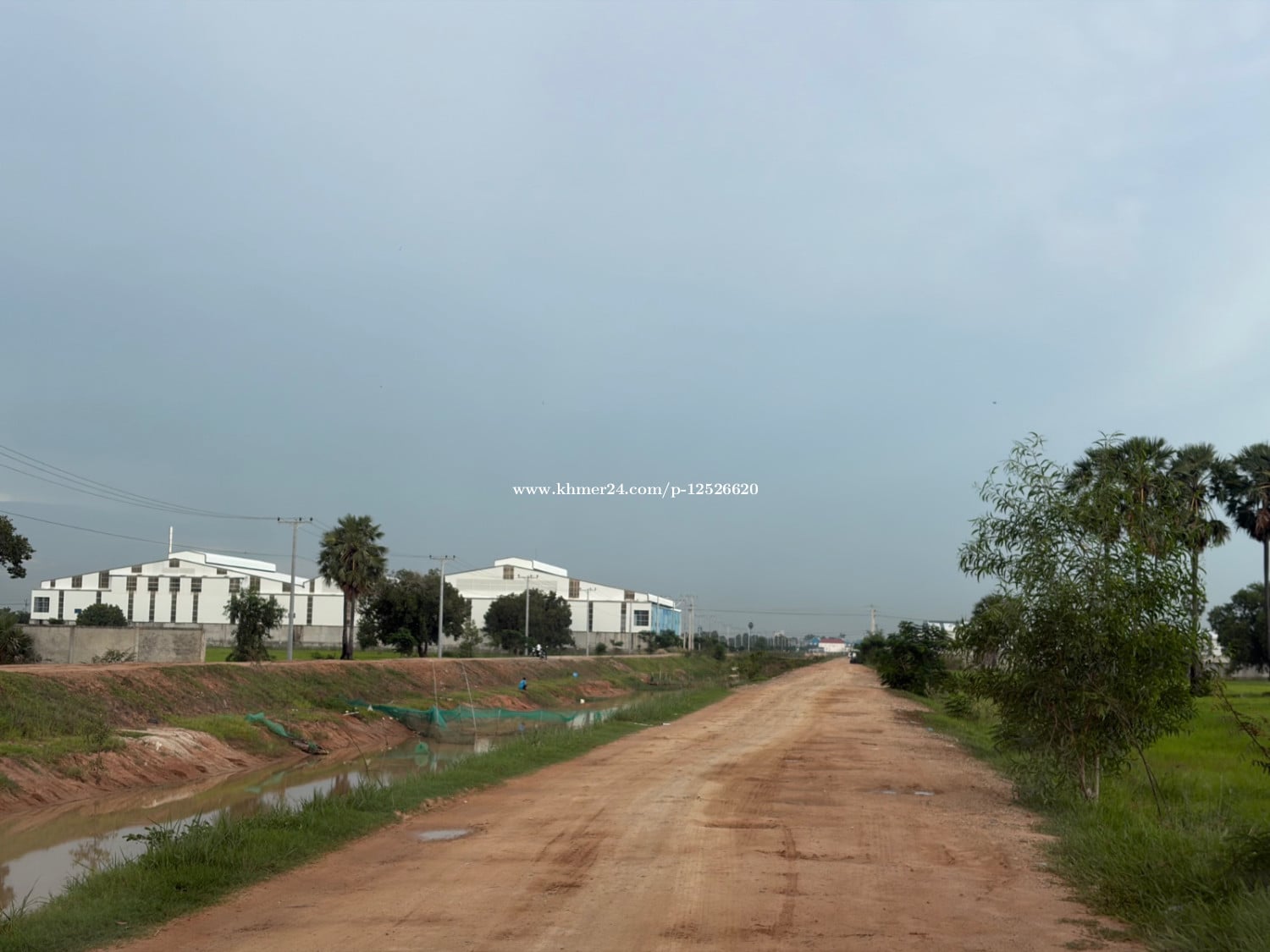 ដីខ្ញុំម្ចាស់ផ្ទាល់ ចរចារស្រួល ងាយងាយ ផ្លូវ ប្រឡាយ 60ឞ កែងផ្លូវ8ម