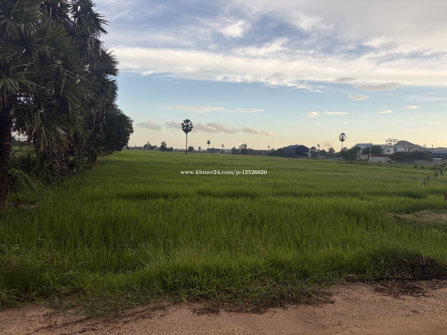 ដីខ្ញុំម្ចាស់ផ្ទាល់ ចរចារស្រួល ងាយងាយ ផ្លូវ ប្រឡាយ 60ឞ កែងផ្លូវ8ម