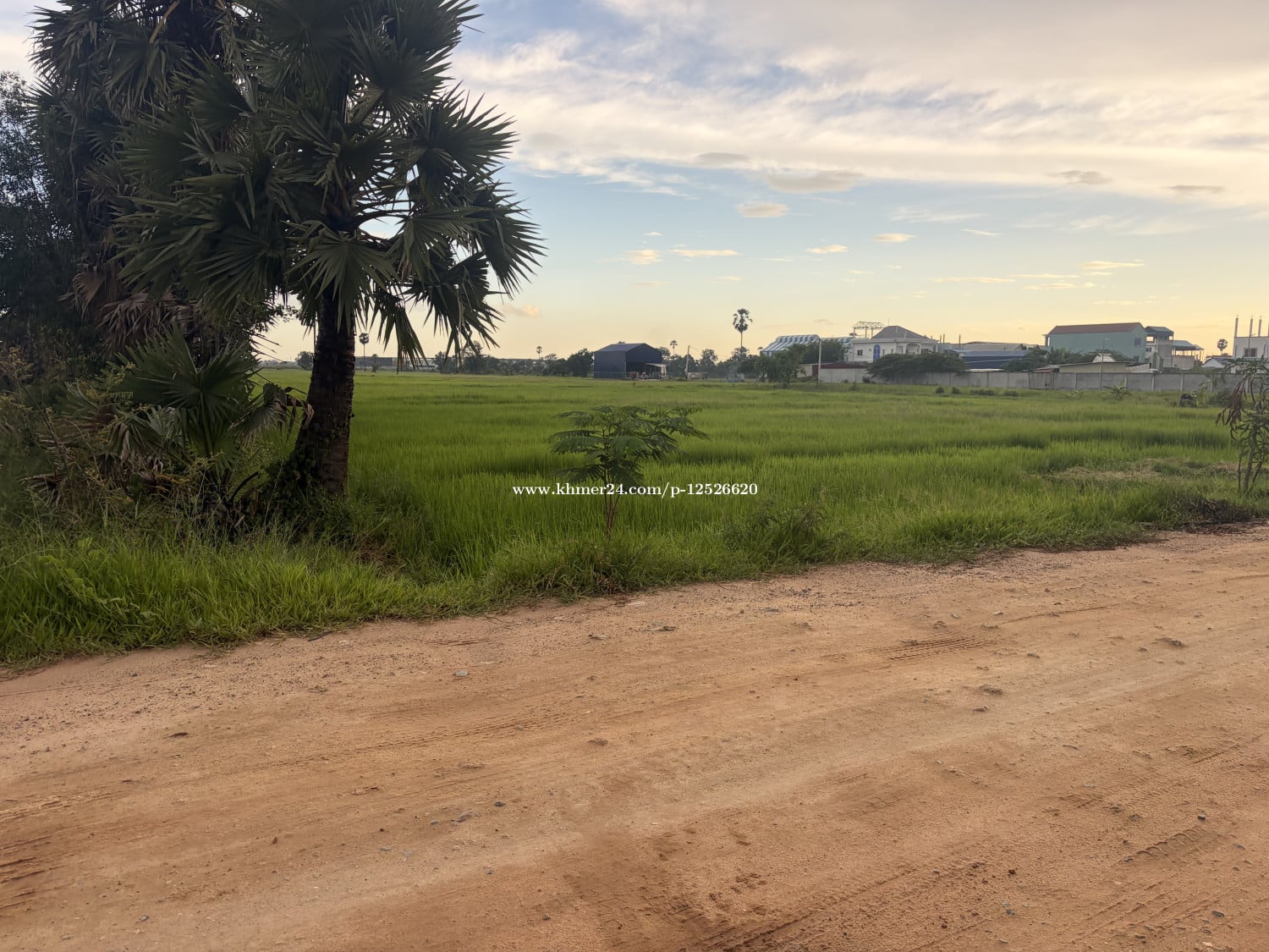 ដីខ្ញុំម្ចាស់ផ្ទាល់ ចរចារស្រួល ងាយងាយ ផ្លូវ ប្រឡាយ 60ឞ កែងផ្លូវ8ម