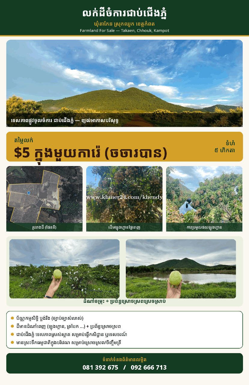 ដីចំការសម្រាប់លក់