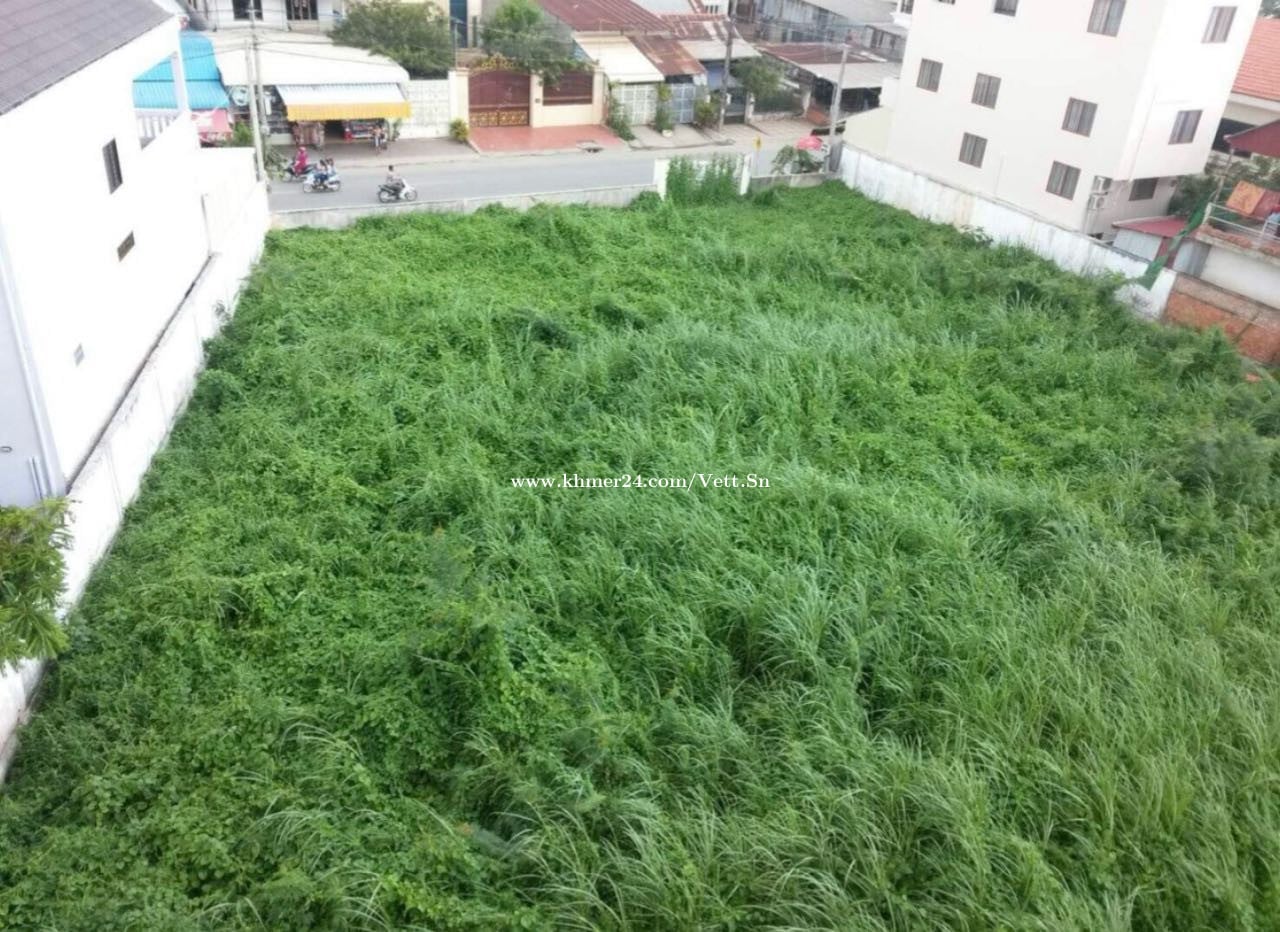 ដីជួល/Land for Rent/土地出租