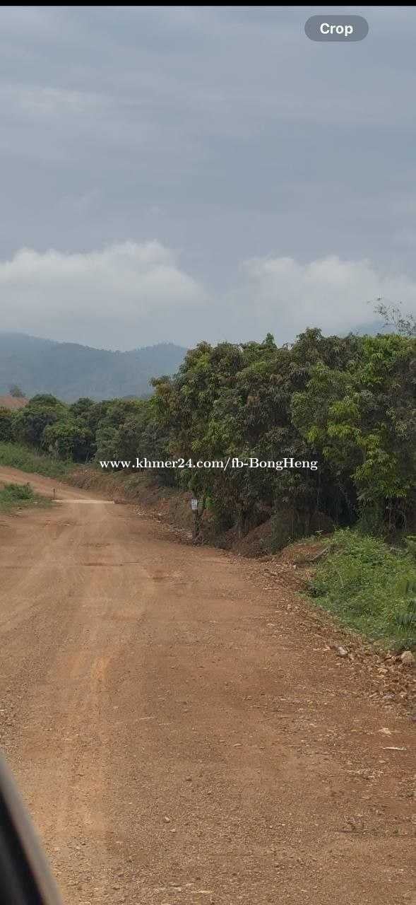 ដីកែងលក់ លើផ្លូវ43