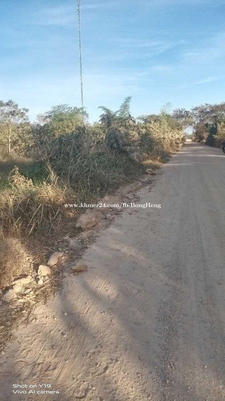 ដីកែងលក់ លើផ្លូវ43