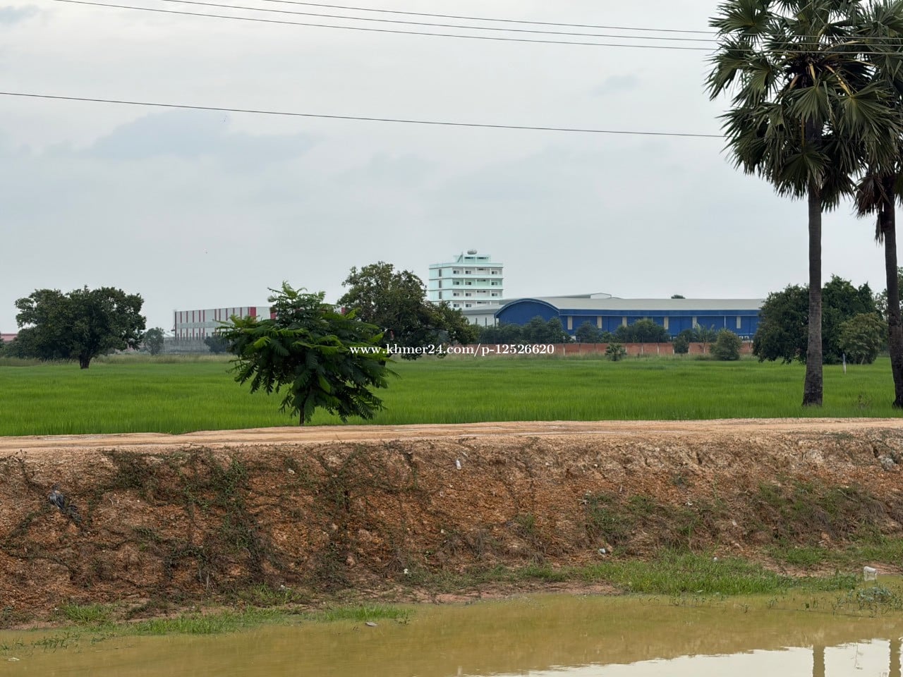 ដីផ្លូវកែងប្រឡាយ60ម៉ែតនឹងផ្លូវ16ម៉ែត ឡើងទៅ៥០ម៉ែតព្រៃសនឹងជាតិលេខ៣  100*92 ម្ចាស់ផ្ទាល់