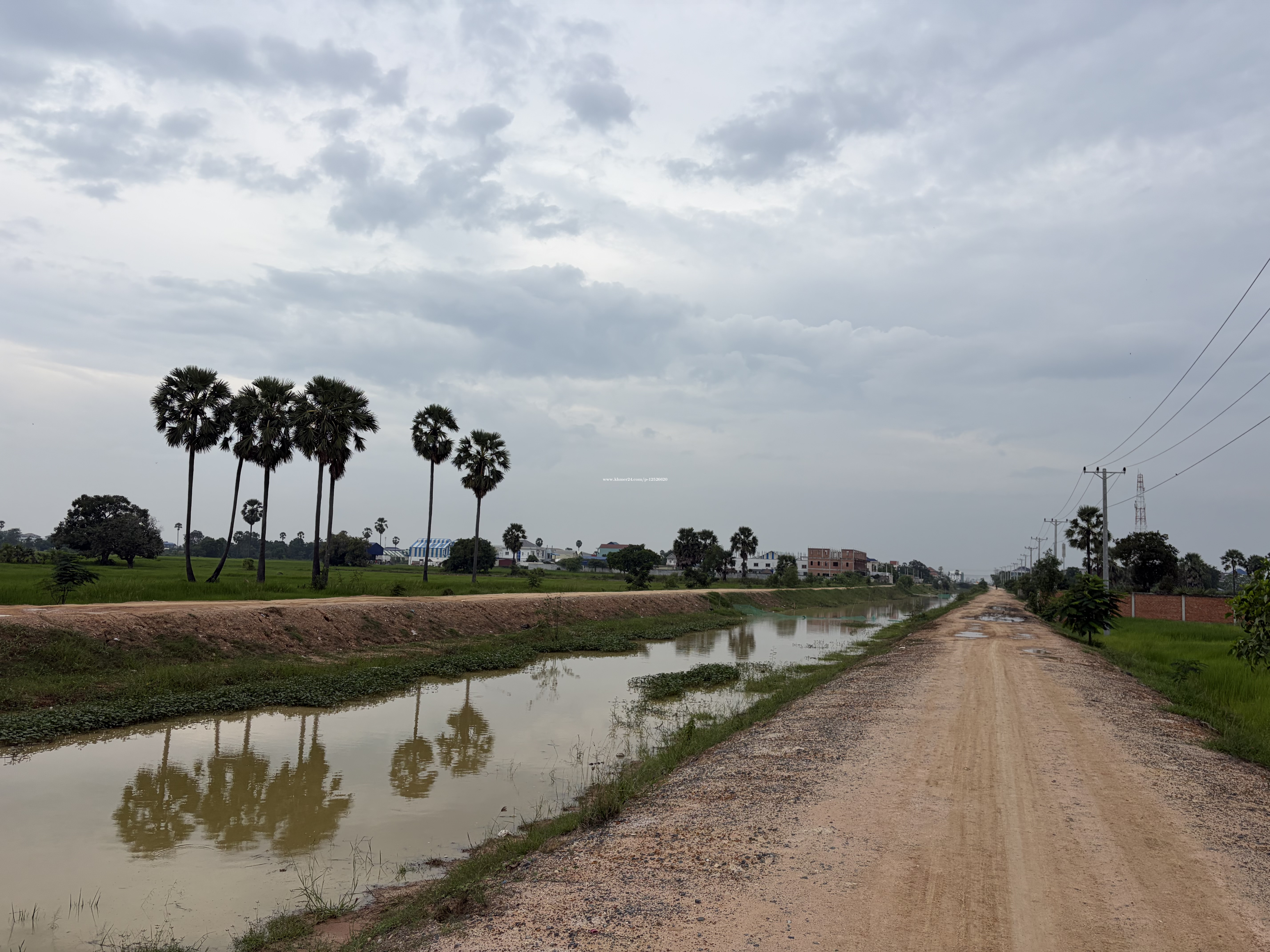 ដីផ្លូវកែងប្រឡាយ60ម៉ែតនឹងផ្លូវ16ម៉ែត ឡើងទៅ៥០ម៉ែតព្រៃសនឹងជាតិលេខ៣  100*92 ម្ចាស់ផ្ទាល់