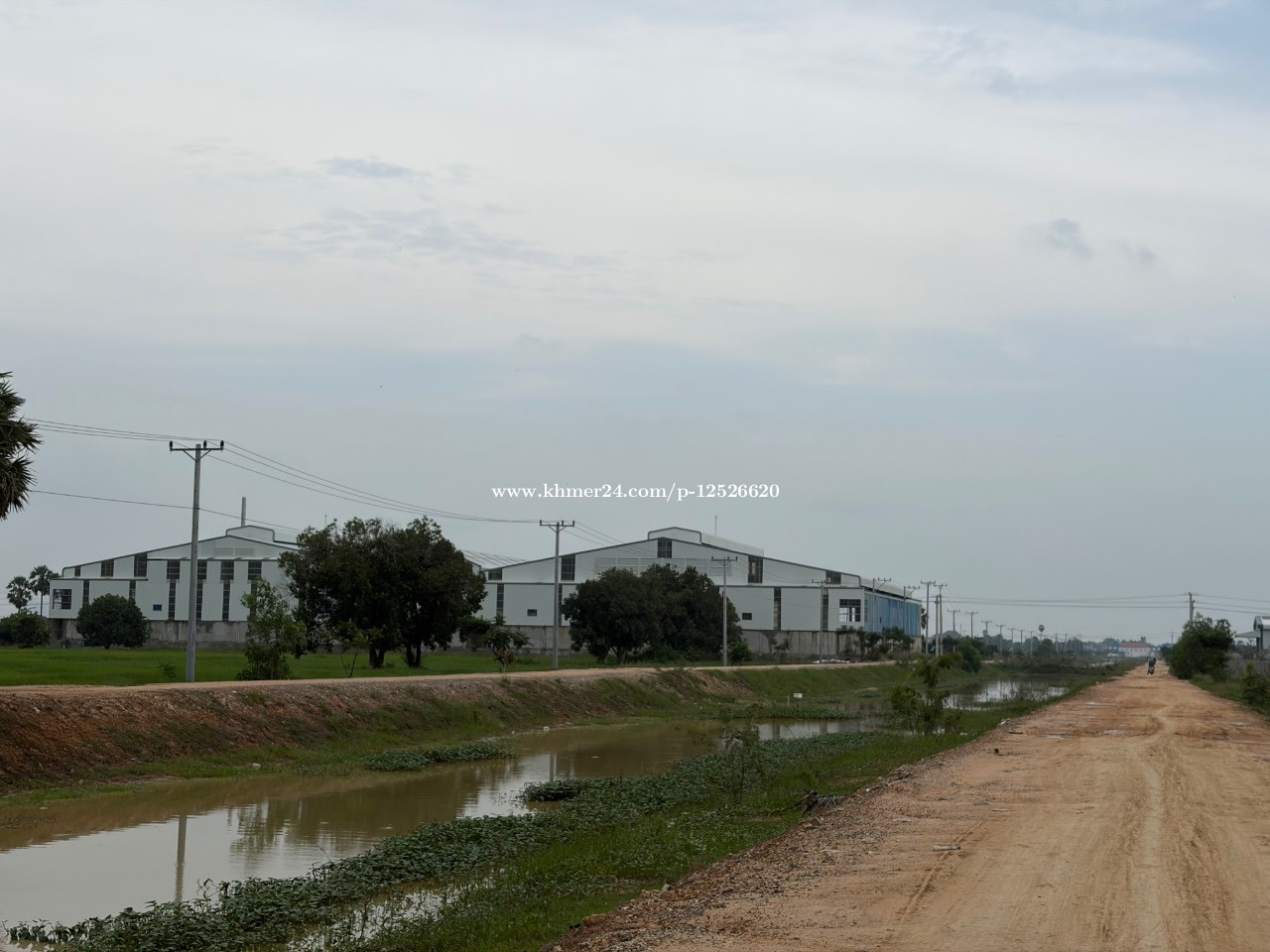 ដីផ្លូវកែងប្រឡាយ60ម៉ែតនឹងផ្លូវ16ម៉ែត ឡើងទៅ៥០ម៉ែតព្រៃសនឹងជាតិលេខ៣  100*92 ម្ចាស់ផ្ទាល់