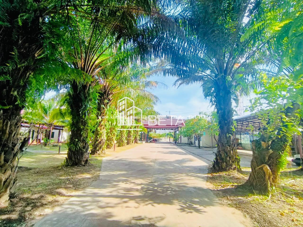 🔥RESORT FOR SALE|Sihanoukville