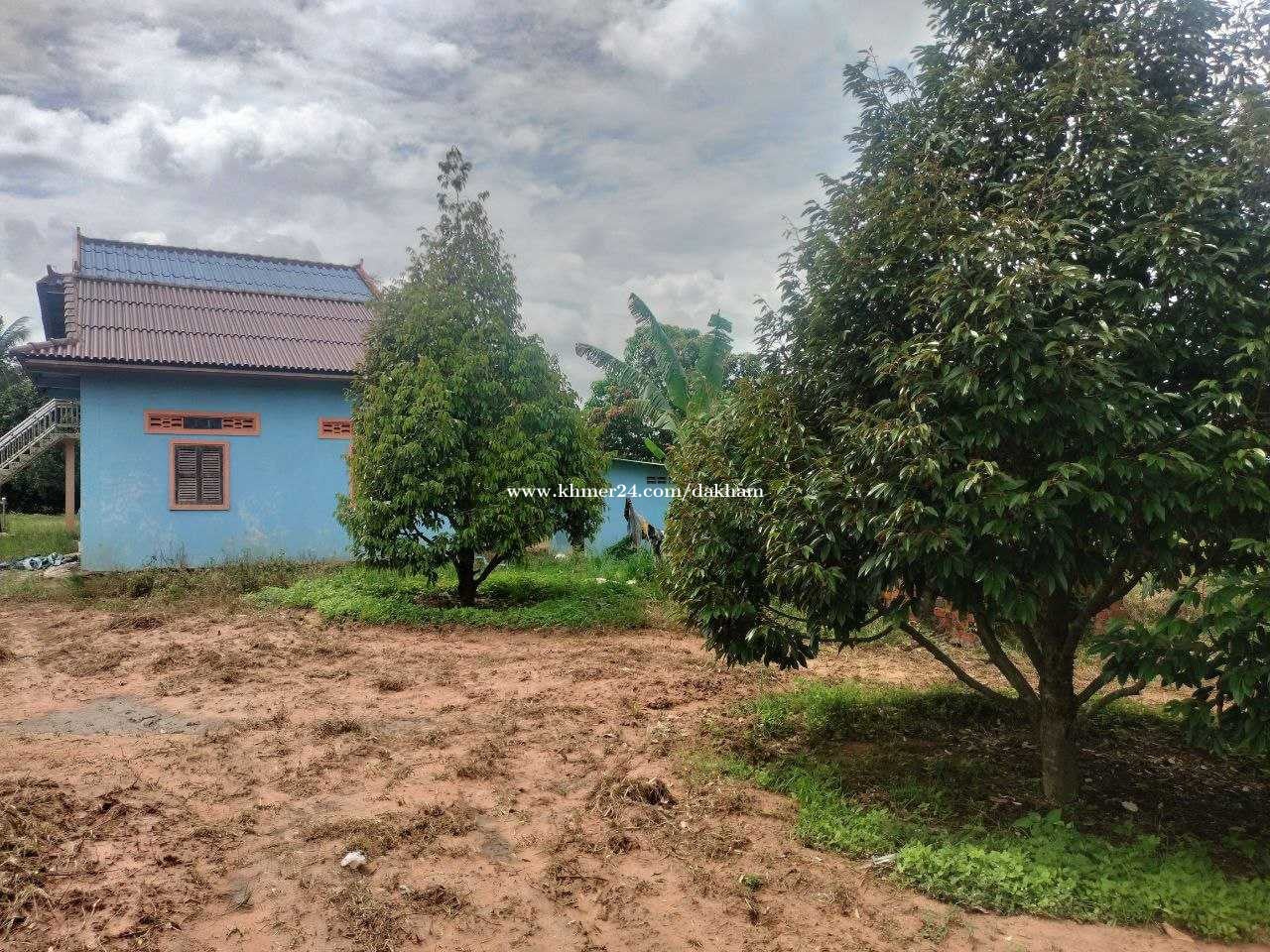 ដីចំការទុរេនហ្នឹងផ្ទះលក់បន្ទាន់:  នៅស្រុកទឹកឈូ កំពត