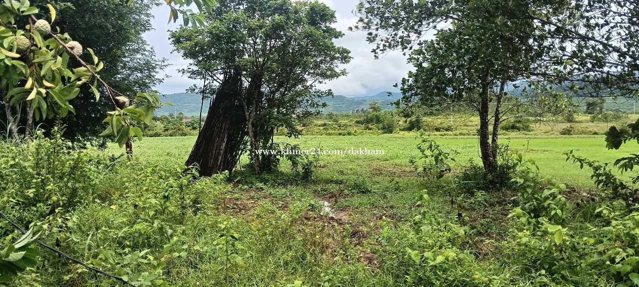 ដីលក់បន្ទាន់ជាប់ប្រភពទឹកអូរខួបប្រាំងខួបវស្សា ស្រុកឈូក ខេត្តកំពត