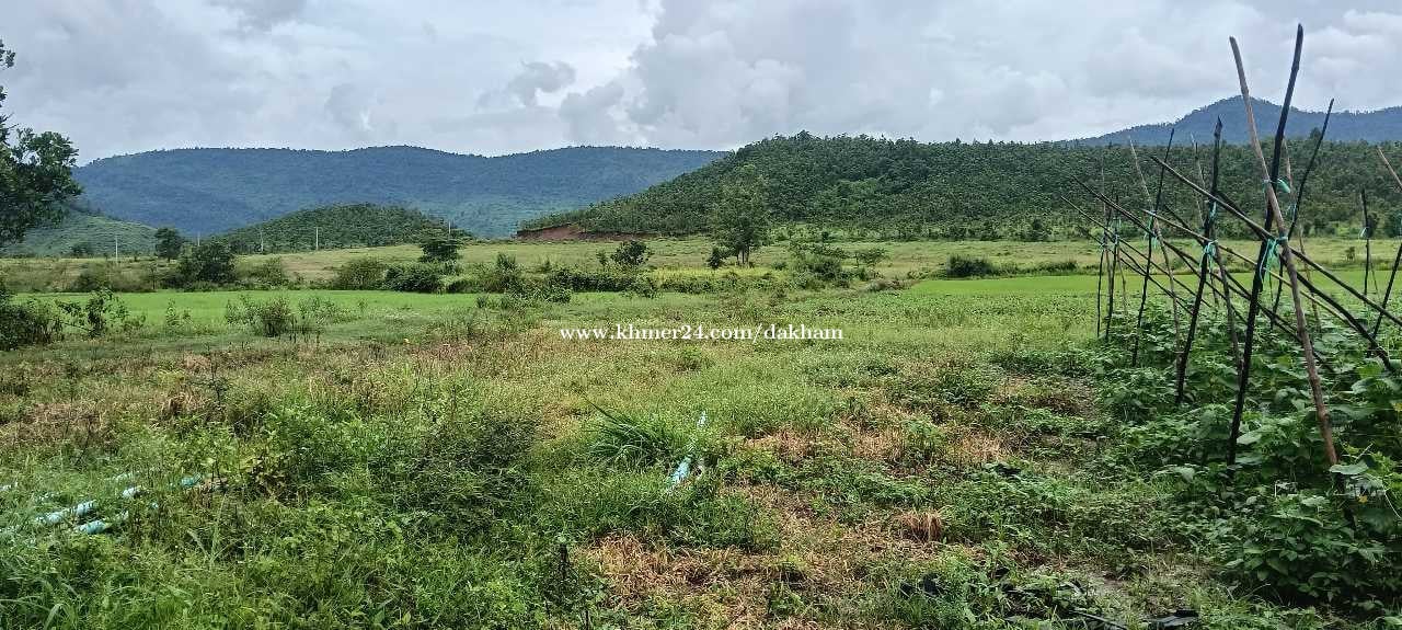 ដីលក់បន្ទាន់ជាប់ប្រភពទឹកអូរខួបប្រាំងខួបវស្សា ស្រុកឈូក ខេត្តកំពត