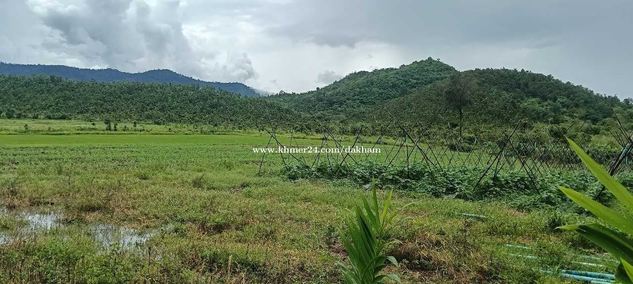 ដីលក់បន្ទាន់ជាប់ប្រភពទឹកអូរខួបប្រាំងខួបវស្សា ស្រុកឈូក ខេត្តកំពត