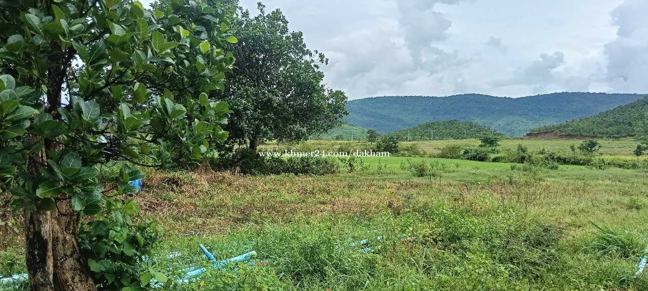 ដីលក់បន្ទាន់ជាប់ប្រភពទឹកអូរខួបប្រាំងខួបវស្សា ស្រុកឈូក ខេត្តកំពត