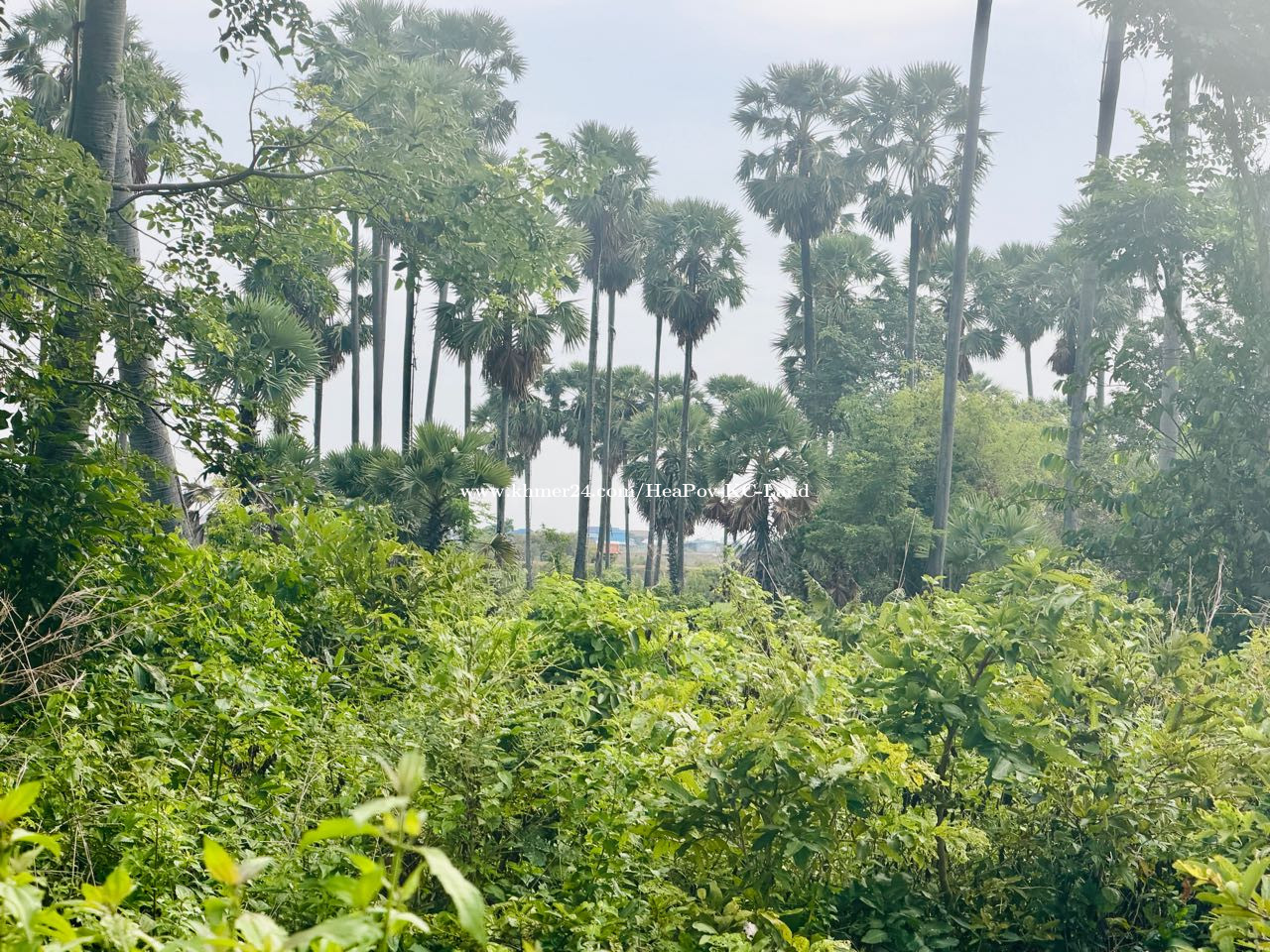ដីលក់ជិតក្រុងកំពង់ឆ្នាំង