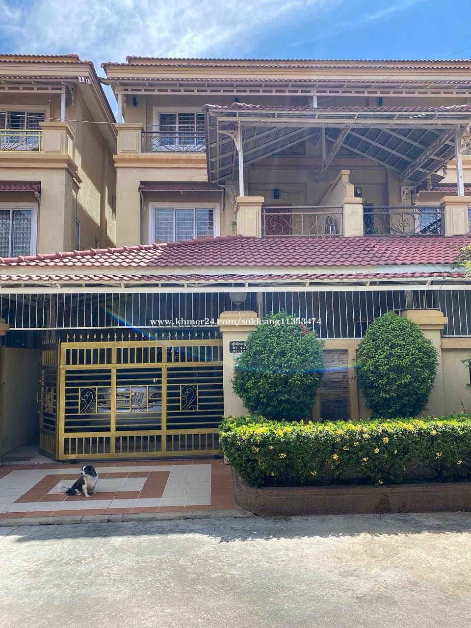 ប្លងរឹង