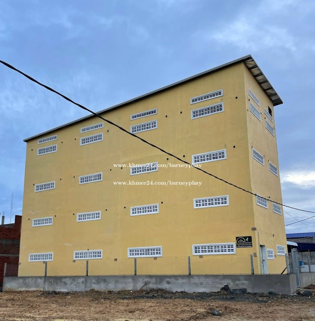 ផ្ទះត្រចៀកកាំលក់ Birdhouse for sale