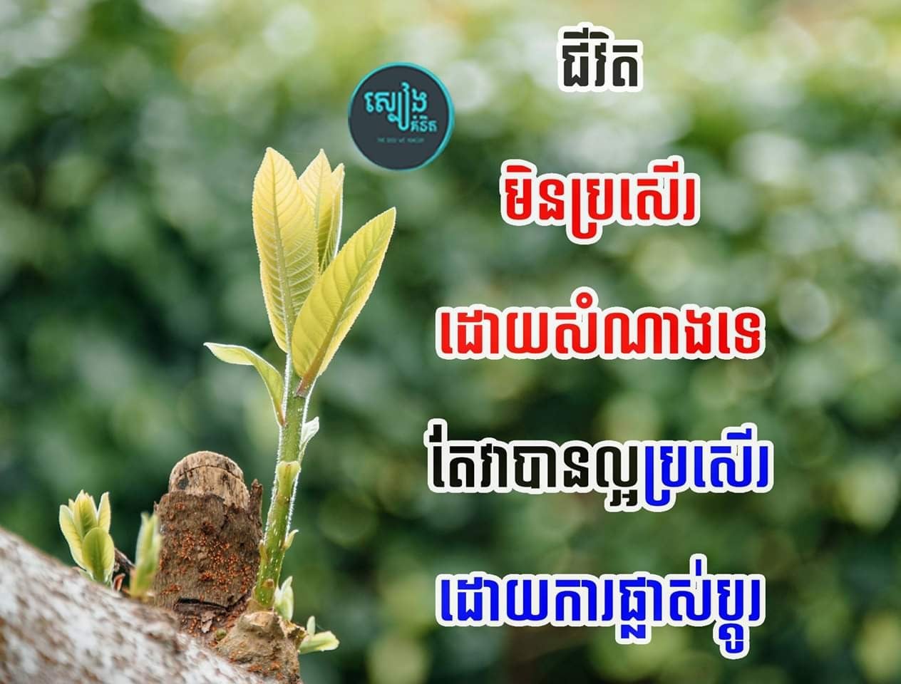 Both