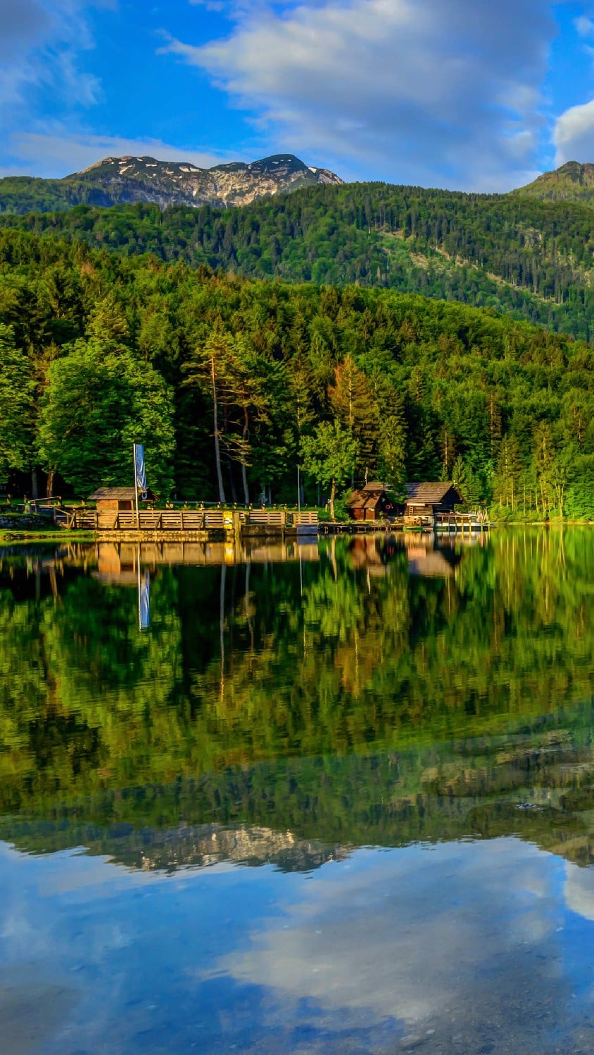 p-977773489