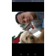 Bunaet-Telegram 092744377