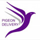 Pigeon Delivery