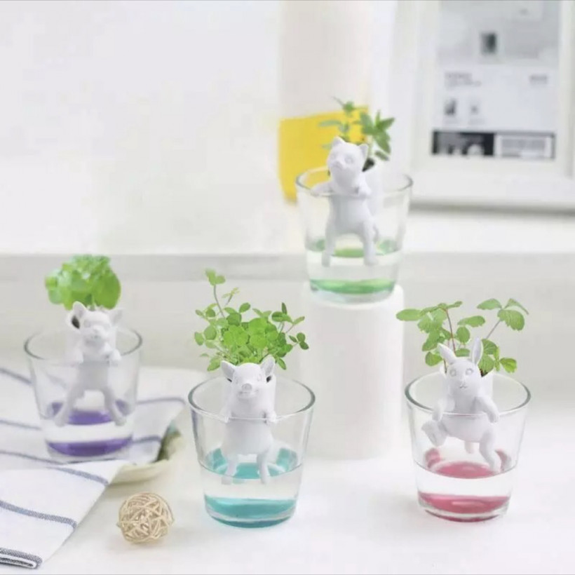 មីនា ហាស់