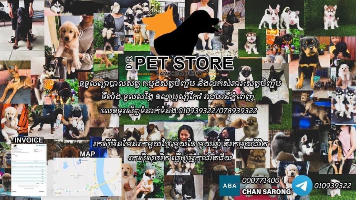 DR Pet store
