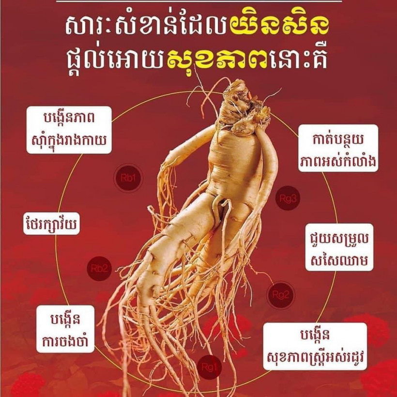 ណូវ វិសាល