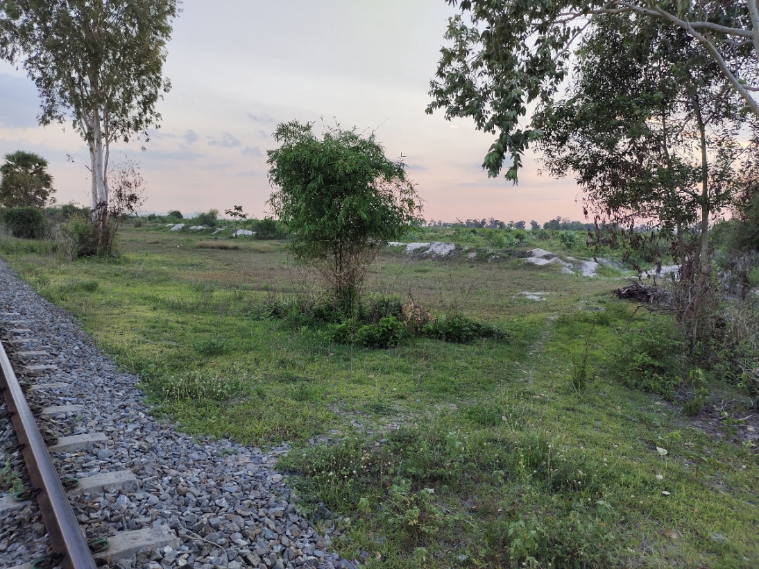 សេង វុត្ថា