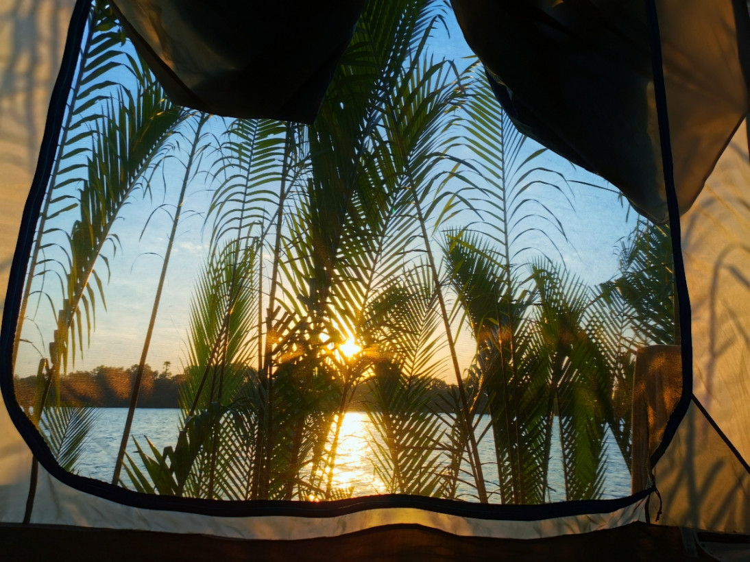 ចំរើន Panda