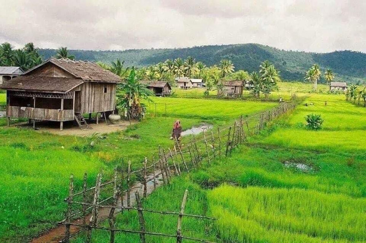 តារា សំណាង