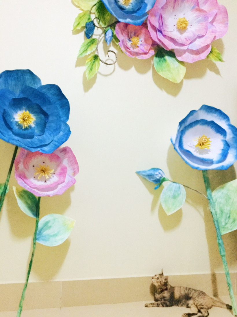 ហ៊ាង​ដារ៉ា​ Heang Dara