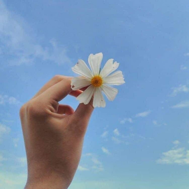 បង ធារ៉ា