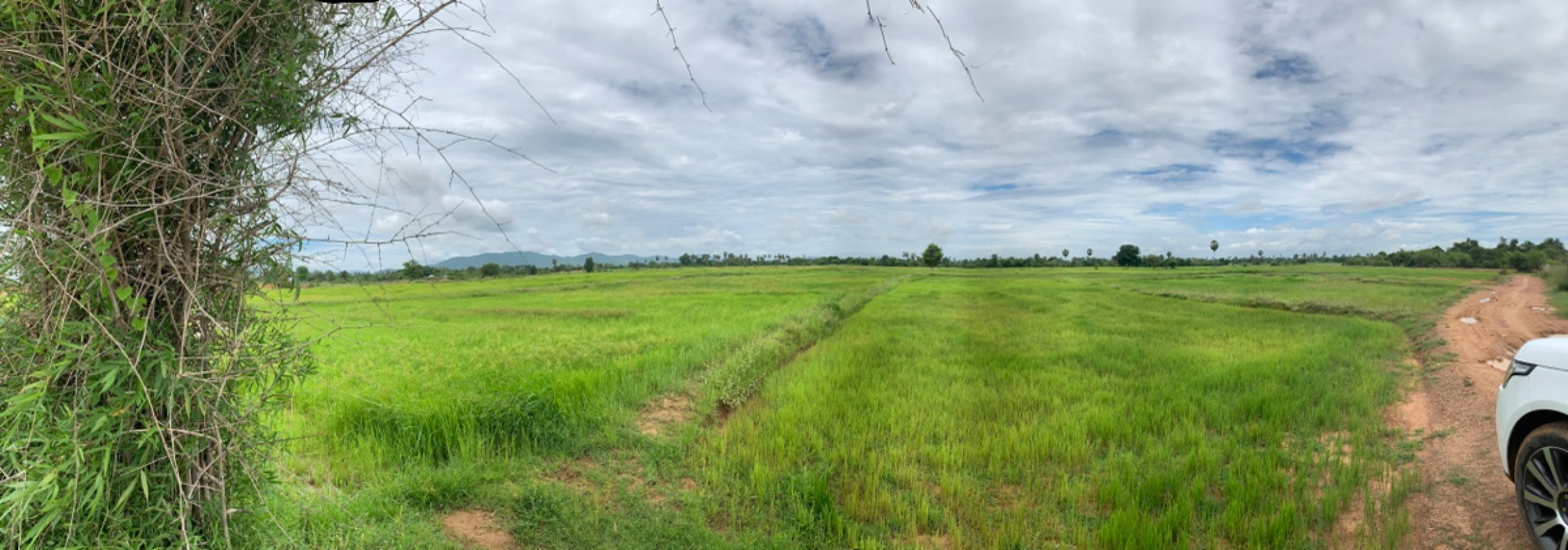 រក្សាបញ្ញា