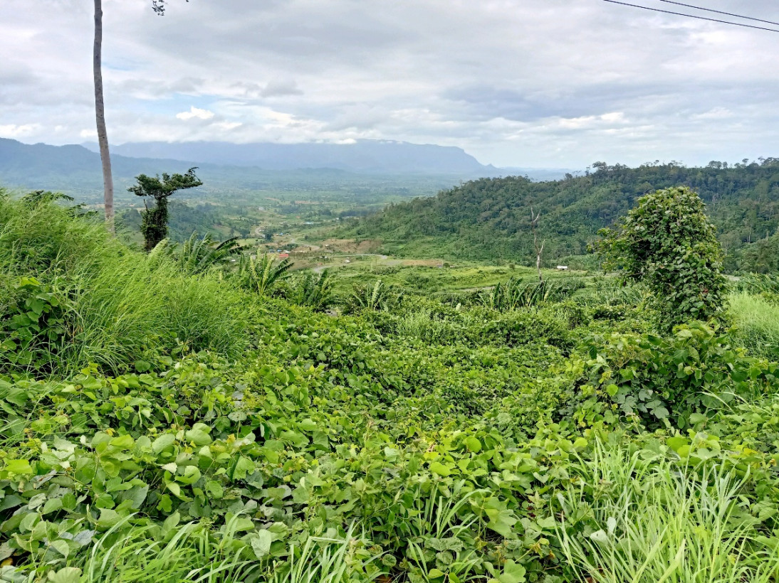 កាន់ សុធារ៉ា