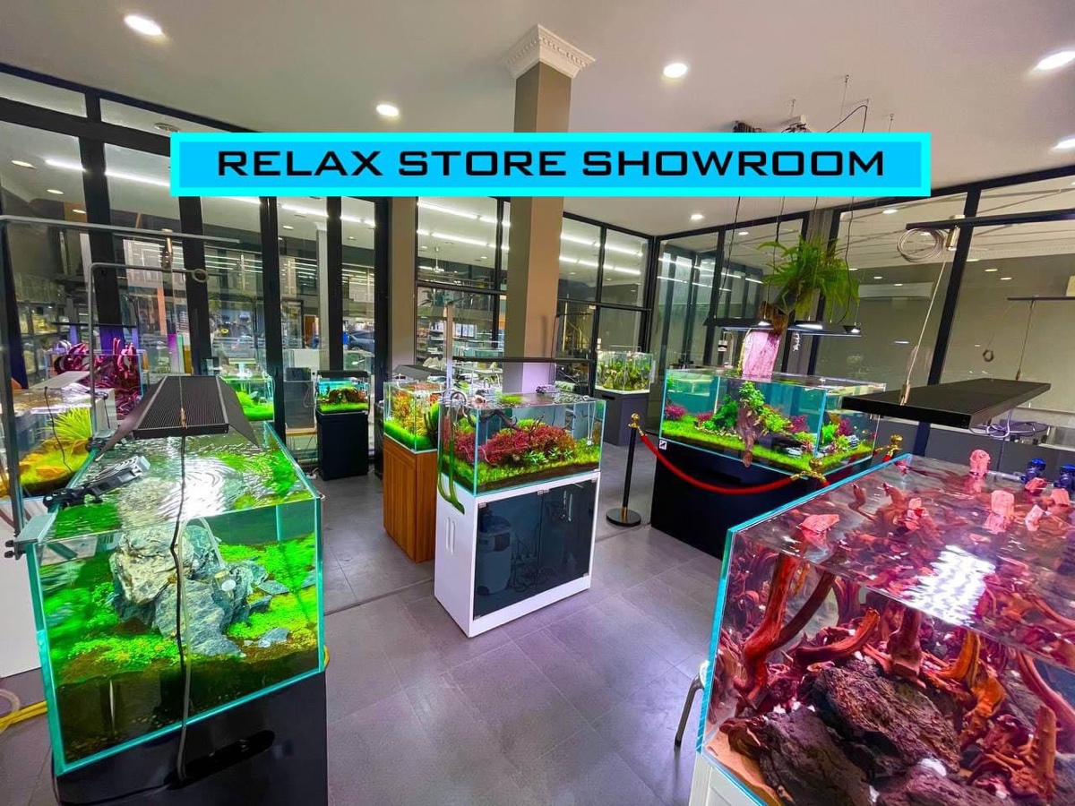 Relax Store Aquascape
