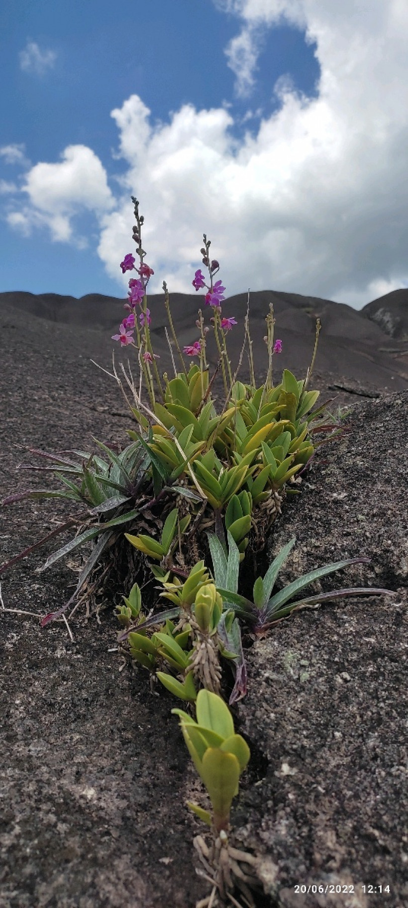 រដ្ឋាសក្តិ ឡេក
