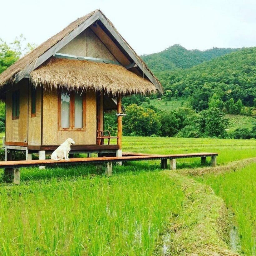 Pudy KLD ពូ ឌី ខេអិលឌី