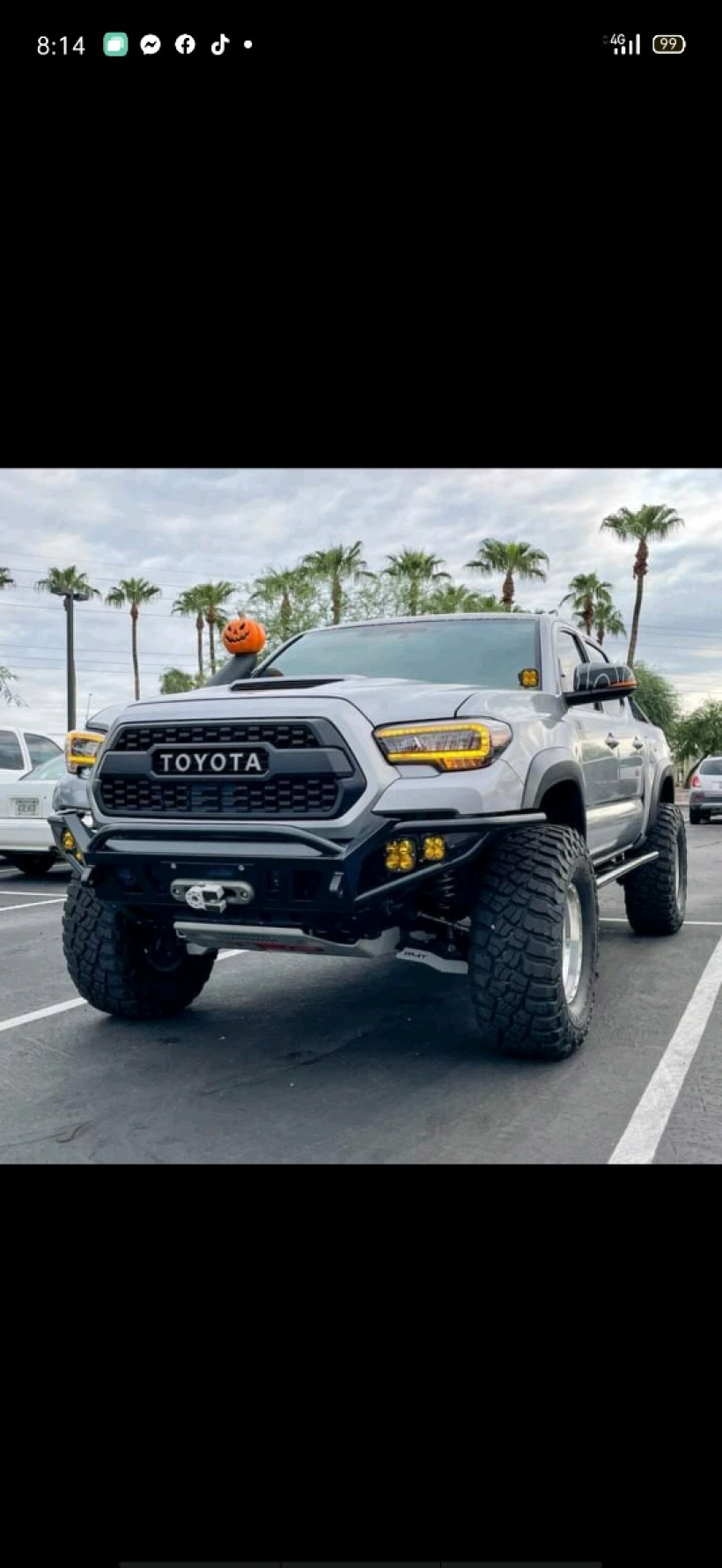 Seam Ravy p-10334590