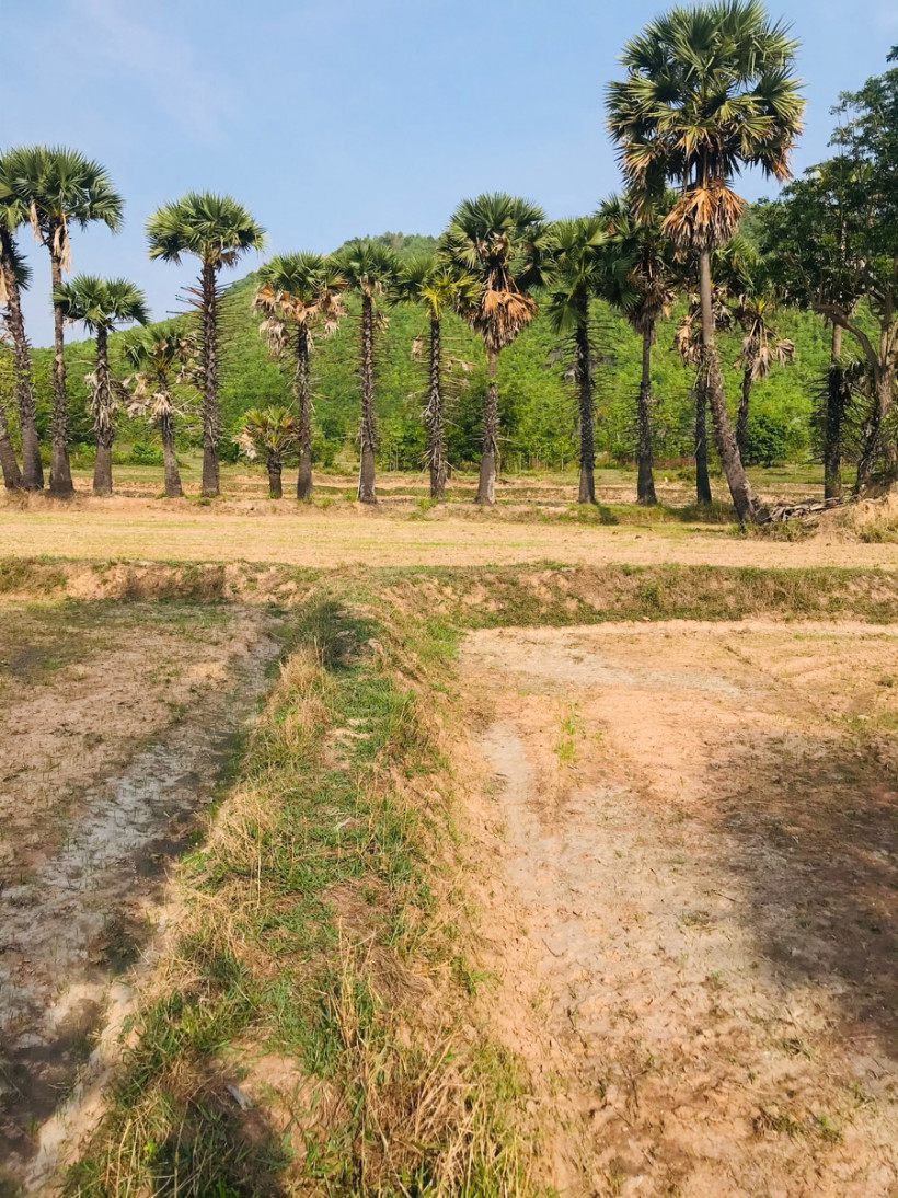 ត្រាំកក់ ស្រុកខ្ញុំ