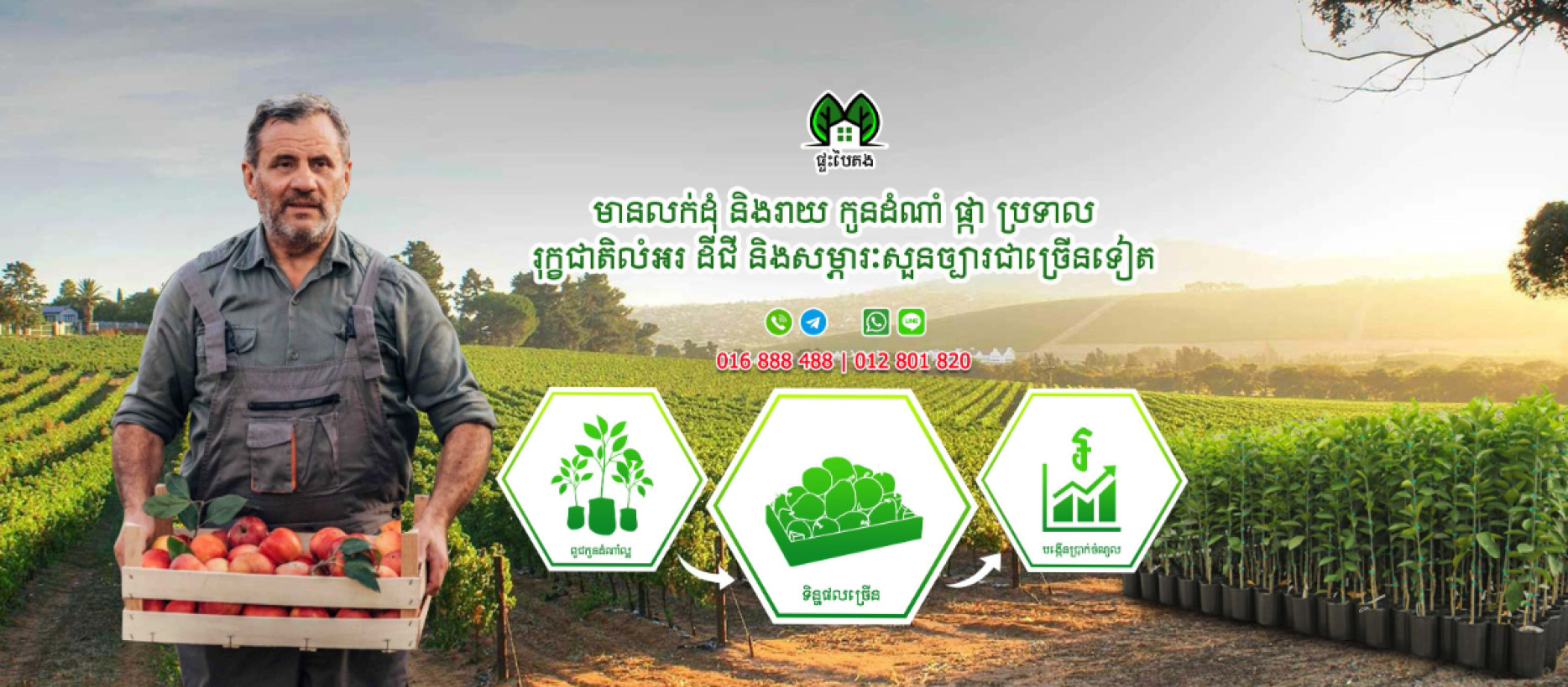 Green House  ផ្ទះបៃតង