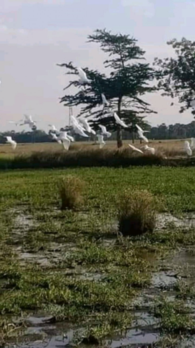 ដីលក់ ជាយក្រុង