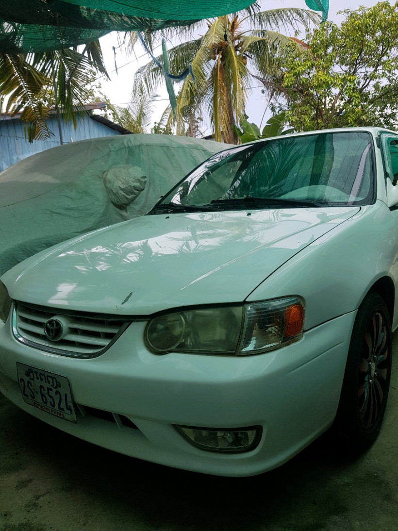 ស៊ិន ទិត្យា